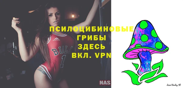a pvp Армянск