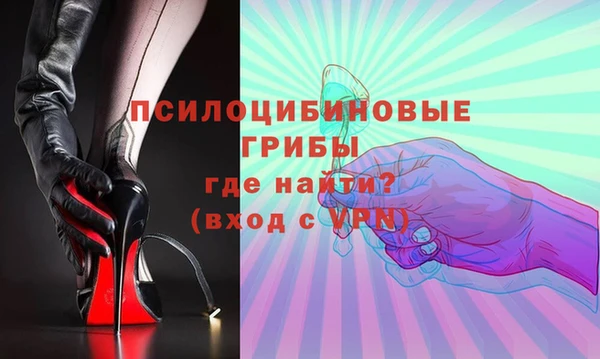 Альфа ПВП Аркадак