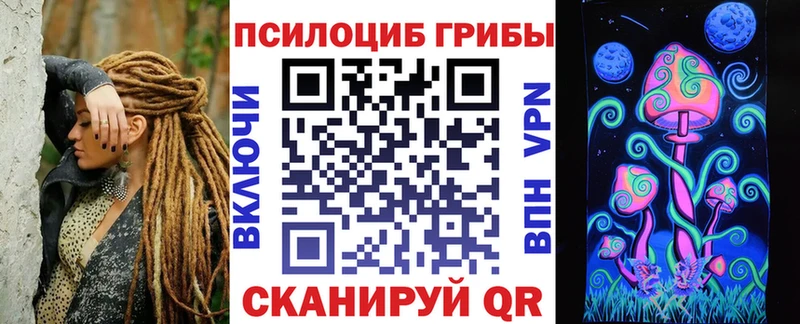закладки  Окуловка  Псилоцибиновые грибы прущие грибы 